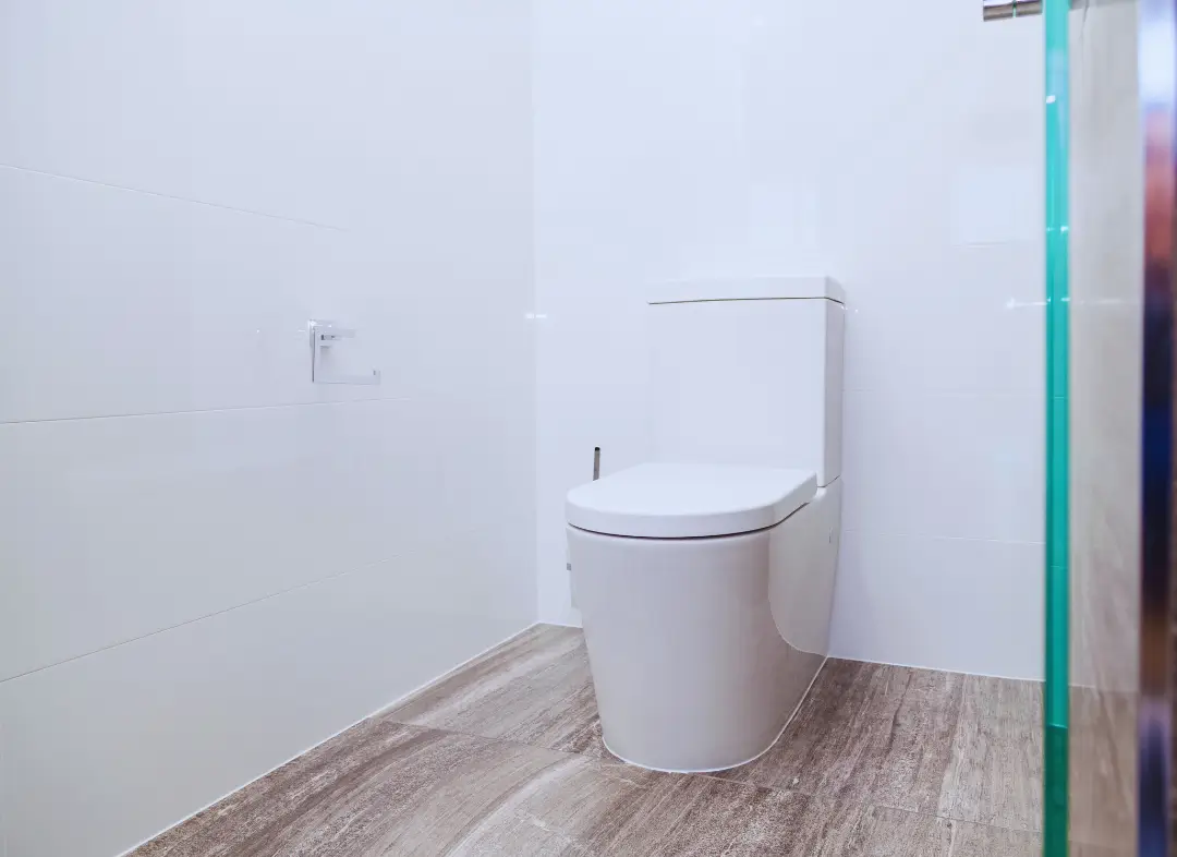 Remplacement de wc Ancenis-Saint-Géréon