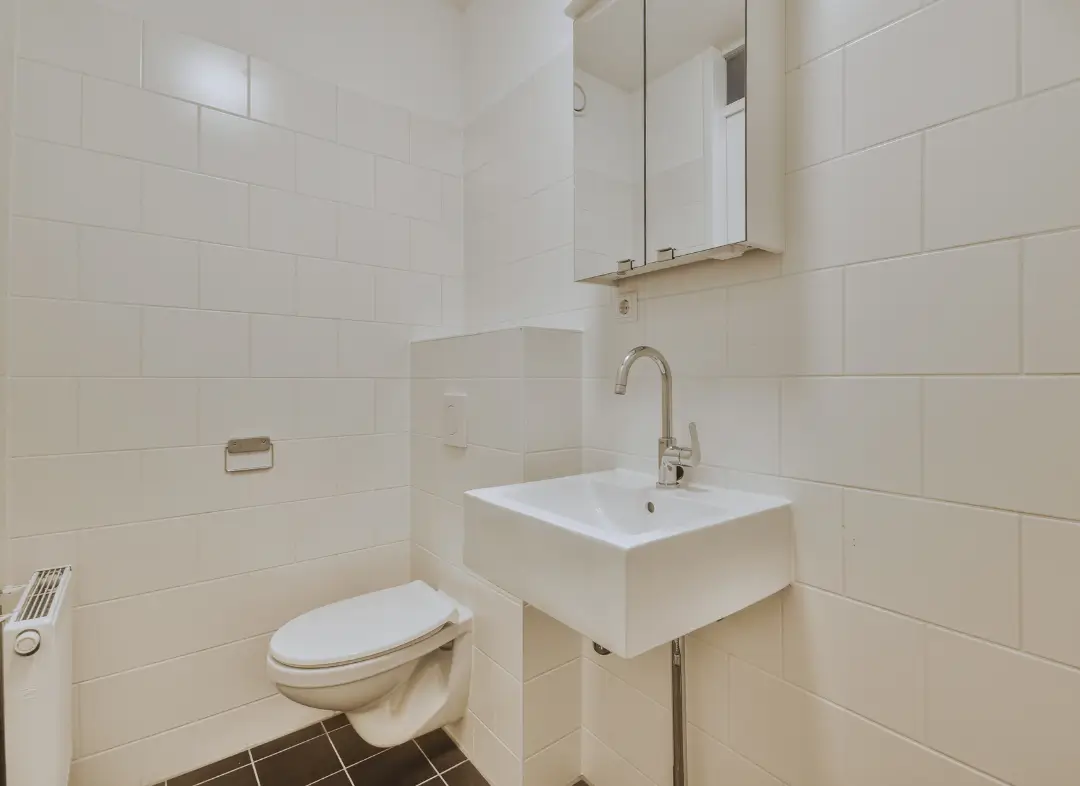 Pose WC Suspendu Ancenis-Saint-Géréon